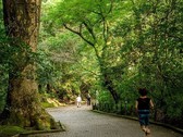 城山の森　遊歩道